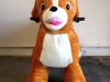 photo-1_1