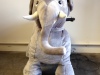 photo-1_2