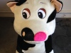 photo-3_0