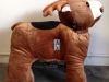 photo-3_8