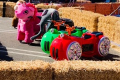 IMG_0239