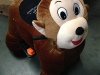 bigi-monkey2014