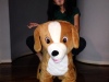 photo-3