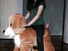photo-4